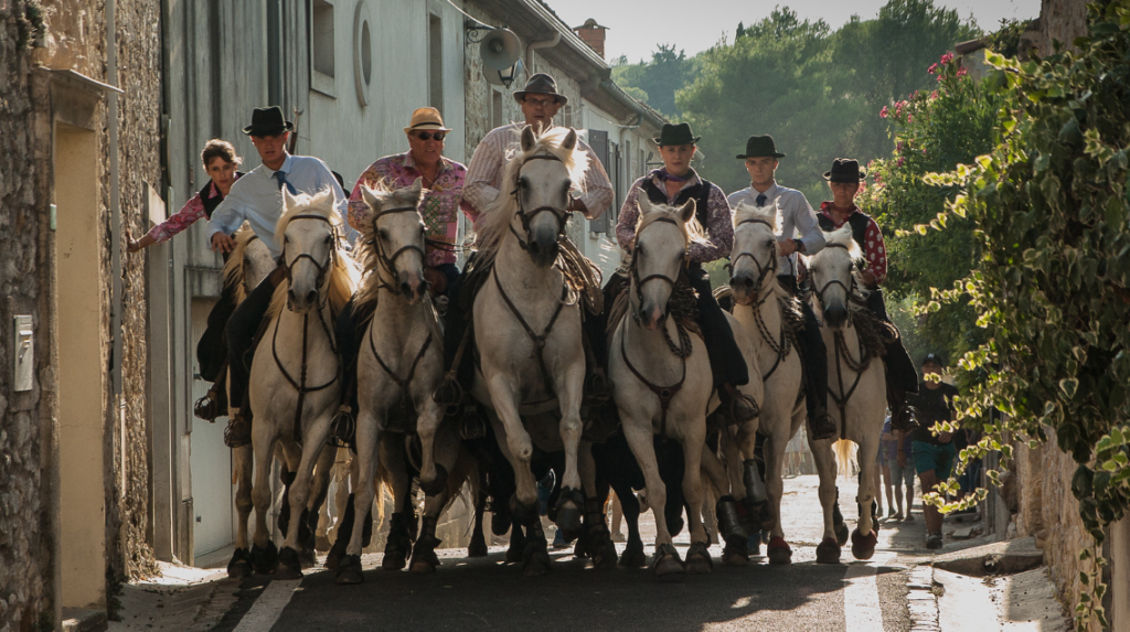 La Camargue, Abrivado Aigues Mortes